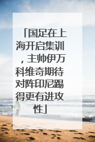 国足在上海开启集训，主帅伊万科维奇期待对阵印尼踢得更有进攻性