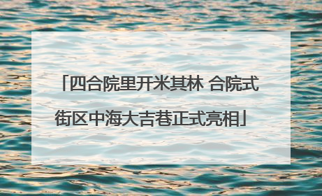 四合院里开米其林 合院式街区中海大吉巷正式亮相