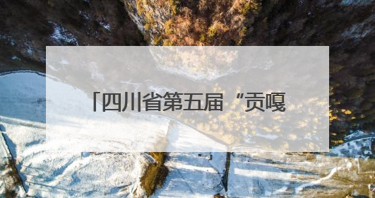 四川省第五届“贡嘎杯”男子排球（初中组）总决赛开赛 自贡这支队伍打进半决赛