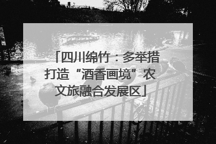 四川绵竹：多举措打造“酒香画境”农文旅融合发展区