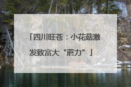 四川旺苍：小花菇激发致富大“蘑力”