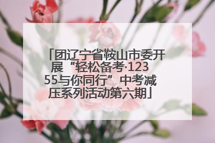 团辽宁省鞍山市委开展“轻松备考·12355与你同行”中考减压系列活动第六期