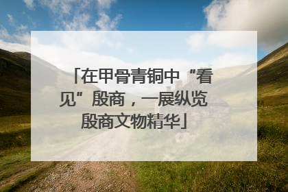 在甲骨青铜中“看见”殷商，一展纵览殷商文物精华