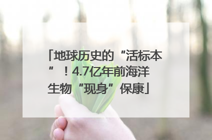 地球历史的“活标本”！4.7亿年前海洋生物“现身”保康