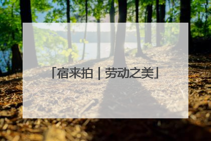 宿来拍｜劳动之美