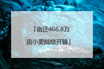 宿迁466.8万亩小麦陆续开镰