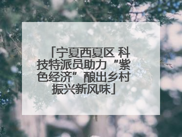 宁夏西夏区 科技特派员助力“紫色经济”酿出乡村振兴新风味