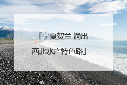 宁夏贺兰 淌出西北水产特色路
