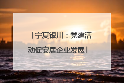宁夏银川：党建活动促安居企业发展