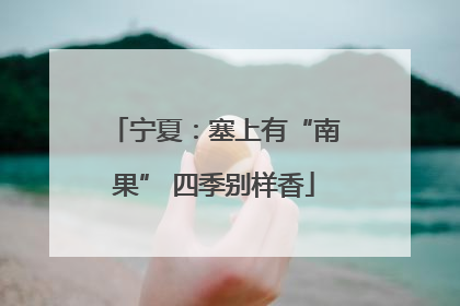 宁夏：塞上有“南果” 四季别样香