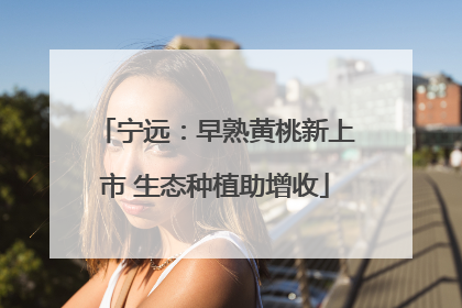 宁远：早熟黄桃新上市 生态种植助增收