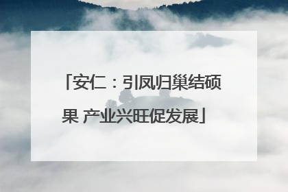 安仁：引凤归巢结硕果 产业兴旺促发展