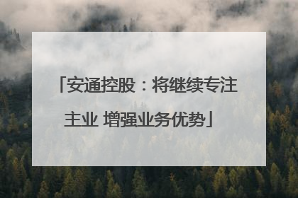 安通控股：将继续专注主业 增强业务优势