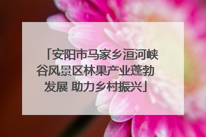 安阳市马家乡洹河峡谷风景区林果产业蓬勃发展 助力乡村振兴