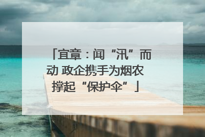 宜章：闻“汛”而动 政企携手为烟农撑起“保护伞”