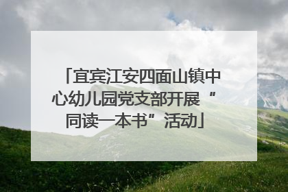 宜宾江安四面山镇中心幼儿园党支部开展“同读一本书”活动