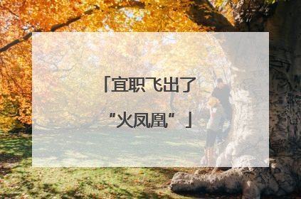 宜职飞出了“火凤凰”