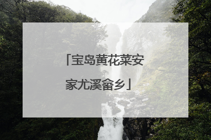 宝岛黄花菜安家尤溪畲乡