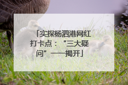 实探杨泗港网红打卡点：“三大疑问”一一揭开