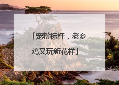 宠粉标杆，老乡鸡又玩新花样