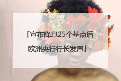 宣布降息25个基点后 欧洲央行行长发声