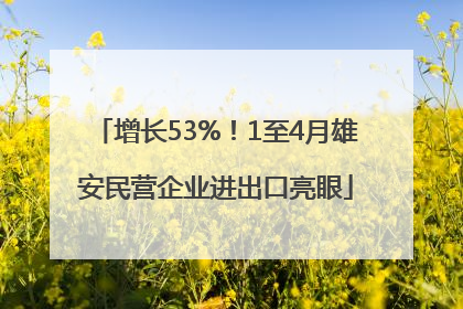 增长53%！1至4月雄安民营企业进出口亮眼
