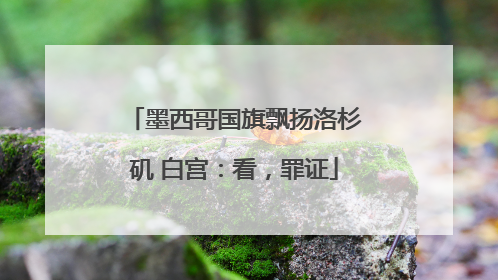 墨西哥国旗飘扬洛杉矶 白宫：看，罪证