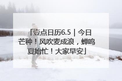 壹点日历6.5｜今日芒种！风吹麦成浪，蝉鸣夏始忙！大家早安