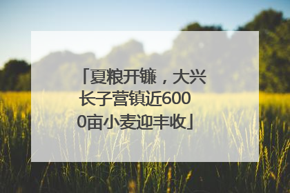夏粮开镰，大兴长子营镇近6000亩小麦迎丰收
