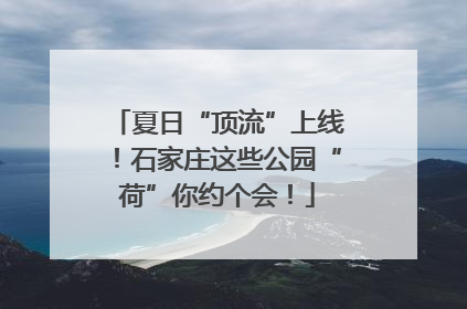 夏日“顶流”上线！石家庄这些公园“荷”你约个会！