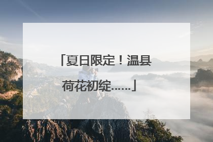 夏日限定！温县荷花初绽……