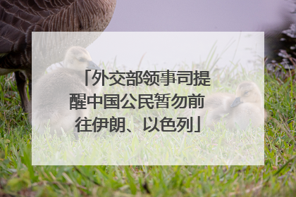 外交部领事司提醒中国公民暂勿前往伊朗、以色列