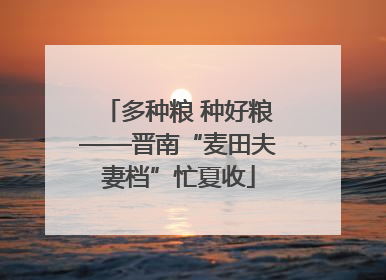 多种粮 种好粮——晋南“麦田夫妻档”忙夏收
