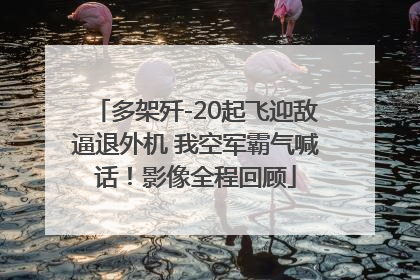 多架歼-20起飞迎敌逼退外机 我空军霸气喊话！影像全程回顾