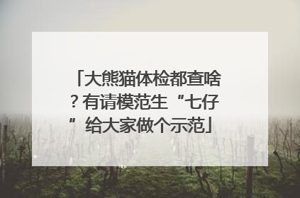 大熊猫体检都查啥？有请模范生“七仔”给大家做个示范