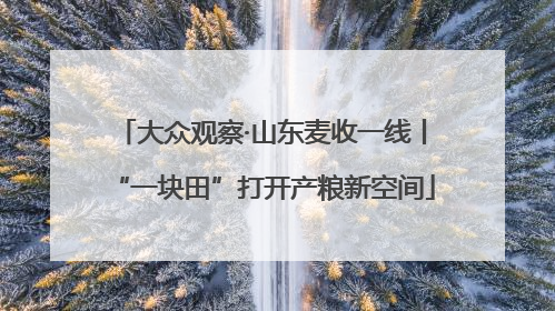 大众观察·山东麦收一线丨“一块田”打开产粮新空间