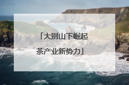 大别山下崛起茶产业新势力