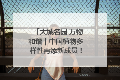 大城名园 万物和谐｜中国植物多样性再添新成员！它只在西藏墨脱