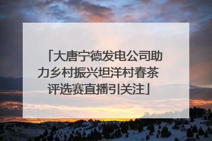 大唐宁德发电公司助力乡村振兴坦洋村春茶评选赛直播引关注