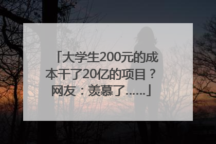 大学生200元的成本干了20亿的项目？网友：羡慕了……