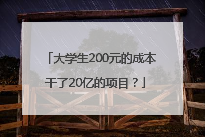 大学生200元的成本干了20亿的项目？