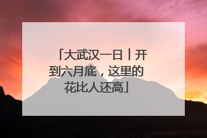 大武汉一日︱开到六月底，这里的花比人还高