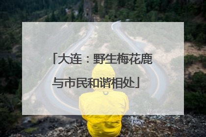 大连：野生梅花鹿与市民和谐相处