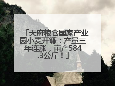 天府粮仓国家产业园小麦开镰：产量三年连涨，亩产584.3公斤！