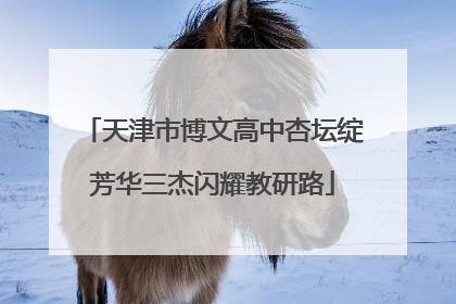 天津市博文高中杏坛绽芳华三杰闪耀教研路