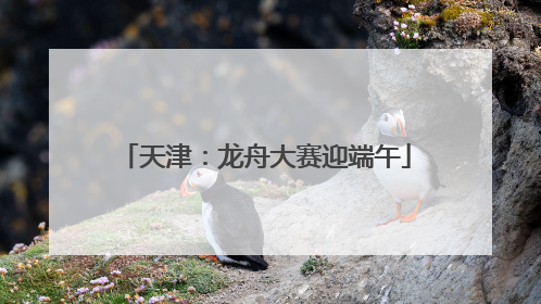 天津：龙舟大赛迎端午