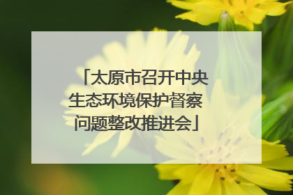 太原市召开中央生态环境保护督察问题整改推进会