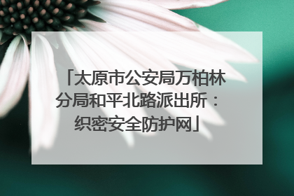 太原市公安局万柏林分局和平北路派出所：织密安全防护网