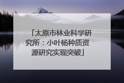 太原市林业科学研究所：小叶杨种质资源研究实现突破