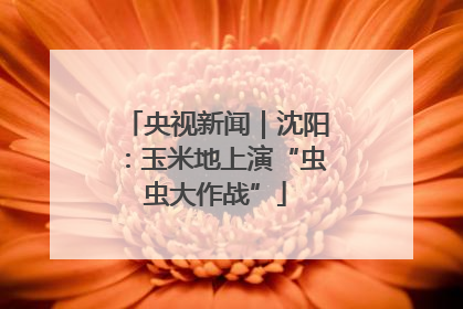 央视新闻｜沈阳：玉米地上演“虫虫大作战”
